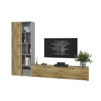 Набор мебели для гостиной NEO-9 (Серебро/ Дуб нокс) Ш2955 В13250 Г335