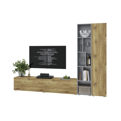 Набор мебели для гостиной NEO-9 (Серебро/ Дуб нокс) Ш2955 В13250 Г335