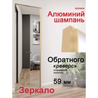 Дверь-невидимка Зеркало INVISIBLE-REVERSE/ Открывание внутрь (под покраску, кромка Алюминий Шампань)