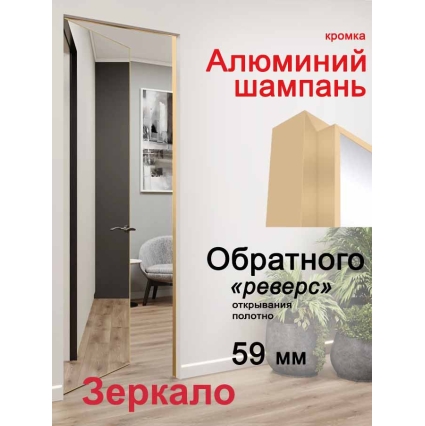 Дверь-невидимка Зеркало INVISIBLE-REVERSE/ Открывание внутрь (под покраску, кромка Алюминий Шампань)