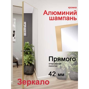 Дверь-невидимка Зеркало INVISIBLE (под покраску, кромка Алюминий Шампань)