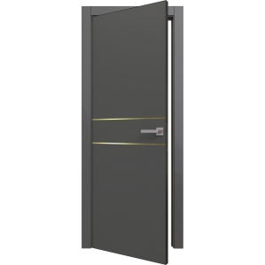 Дверь межкомнатная PRIME Line 2 ПЭТ G (Graphite Silk/ Золотой молдинг) кромка AB..