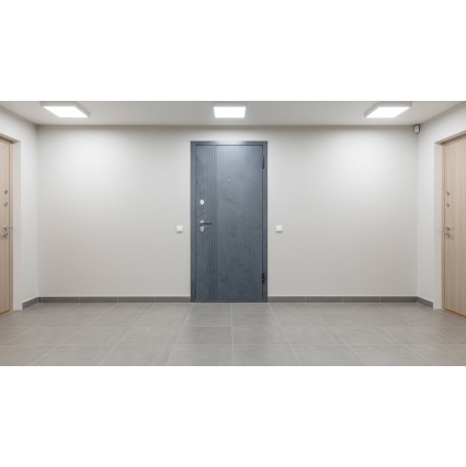 Входная дверь Луара (ПВХ Бетон Графит/ ПВХ  Белый)