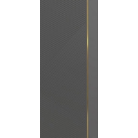 Дверное полотно "Эмаль Line-8 (Графит/ Золотой молдинг) 80см