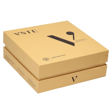 Ручка дверная VSTE Арте Е15 (FG)